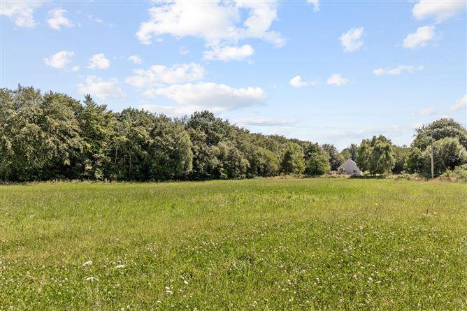 Site 3.3 Acres, Tottenhamgreen, Taghmon, Co. Wexford, historical listing image 4