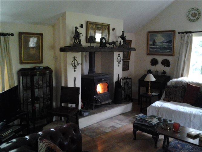 Shamrock Lodge, Knockananna, Wicklow, historical listing image 6