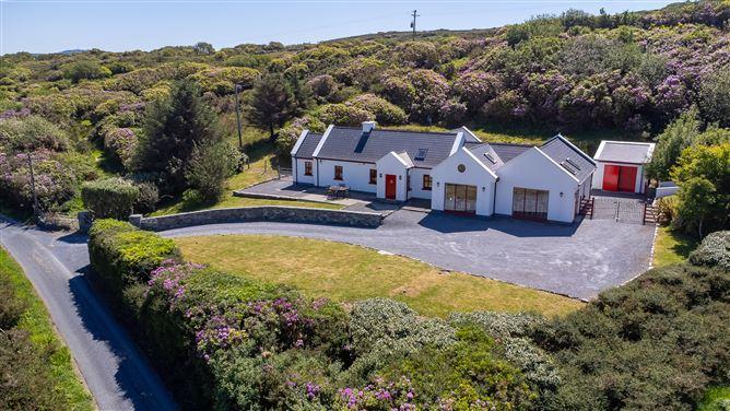 'Inish Reach', Tievegarriff, Moyard, Galway, historical listing image 1