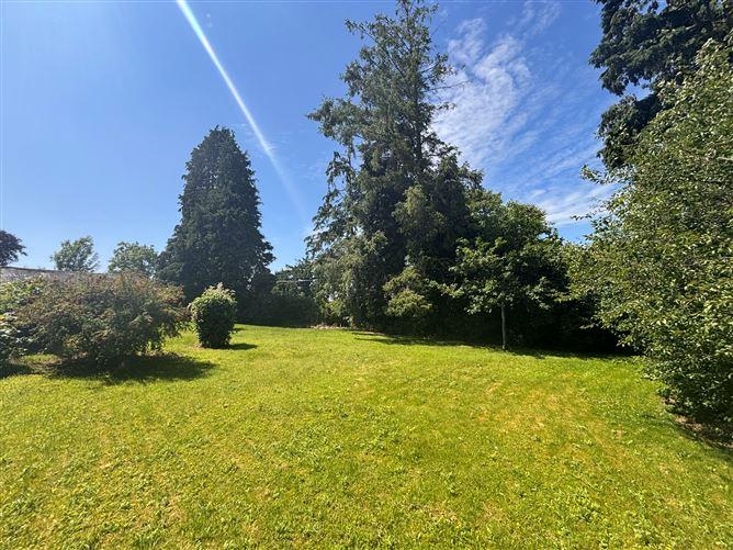 Woodstock, Inistioge, Kilkenny, historical listing image 5