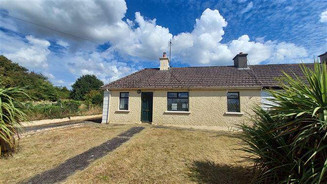 Jerpoint West , Thomastown, Kilkenny, historical listing image 1
