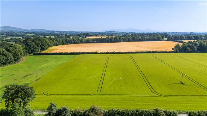 Lot 3 - Gatekeeper's Cottage, Lisnavagh, Rathvilly, Carlow, historical listing image 2