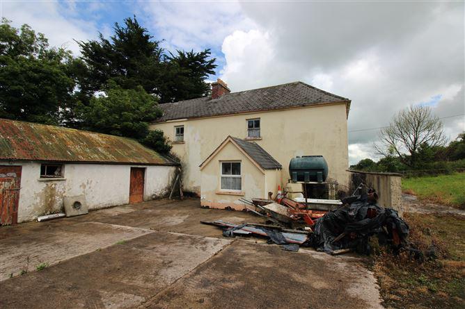 Dromina House, Dromina, Cork, historical listing image 1