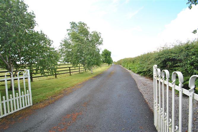 Rath House On Approx. 8.2 Acres, Ballygague, Ballacolla, Co. Laois, historical listing image 5