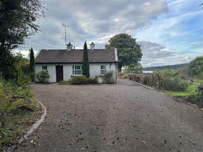 Ballinroey Dring Co Longford, Co. Longford, historical listing image 1