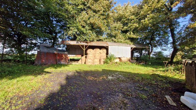 Derelict House With 1 Acre In Knocknagur, Knocknagur, Tuam, Co. Galway, historical listing image 4