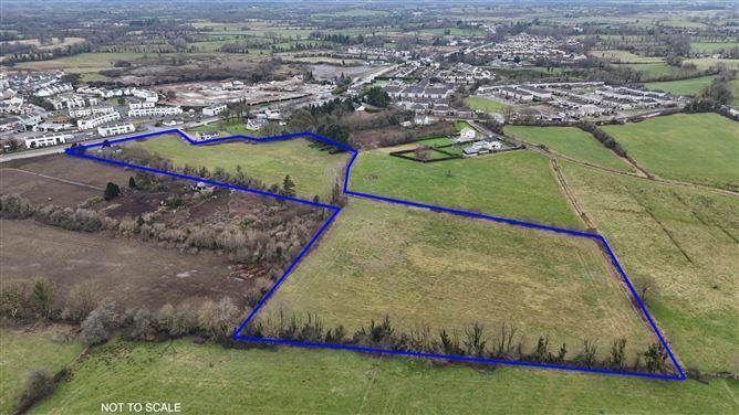 Residence On C. 10 Acres, Monksland, Athlone, County Roscommon, historical listing image 2