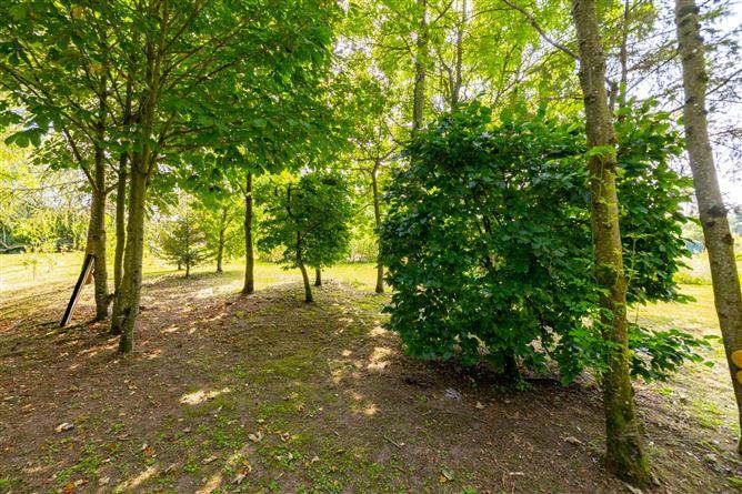 Glassdrum, Cappawhite, Co.Tipperary, historical listing image 6