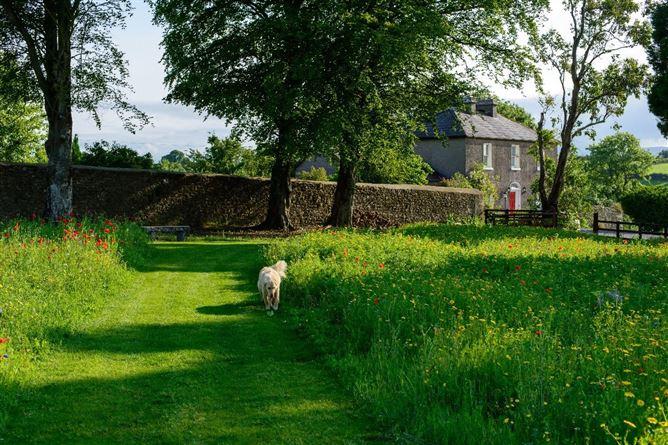 Glebe House On Circa 5.83 Acres, Farrantemple, The Rower, Inistioge, Co Kilkenny, R95Y2V9, historical listing image 5
