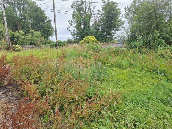 Lisatava , Hollymount, Mayo, historical listing image 5