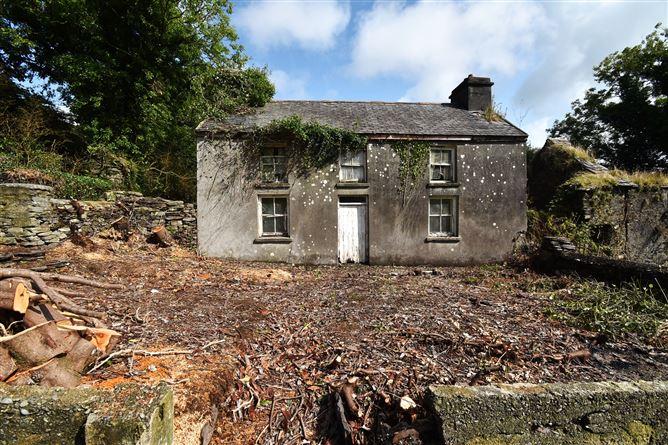 Tobins, Shepperton, Skibbereen, Cork, historical listing image 2