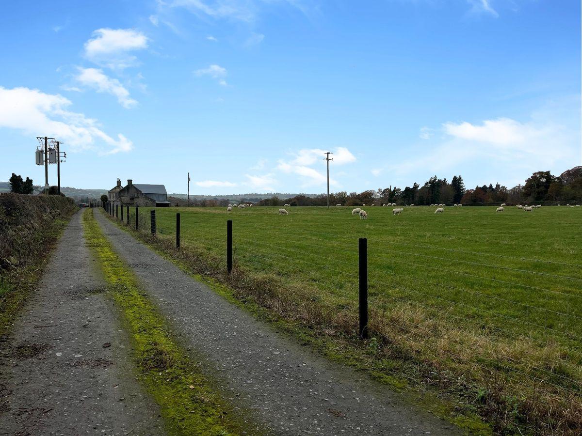 Ballynagrane, Borris, Co. Carlow, R95HD51, historical listing image 3