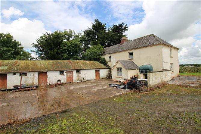 Dromina House, Dromina, Cork, historical listing image 2