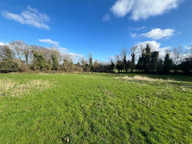 Brickanagh Cloughjordan, Co. Tipperary, historical listing image 2
