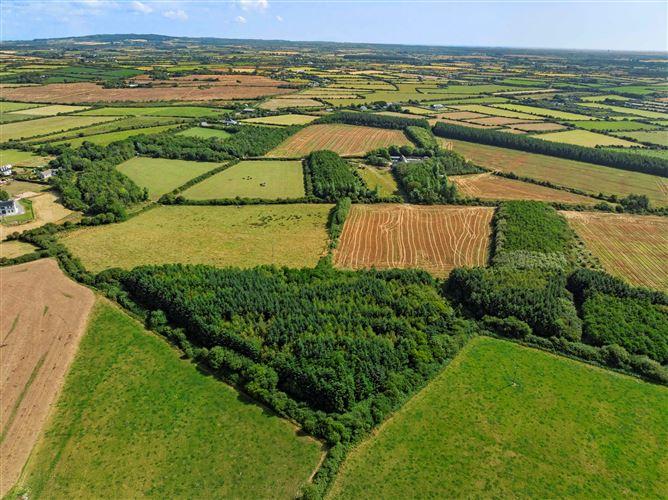 c. 8.78 Hectares (21.70 Acres) at Nicharee, Duncormick, Wexford, historical listing image 3