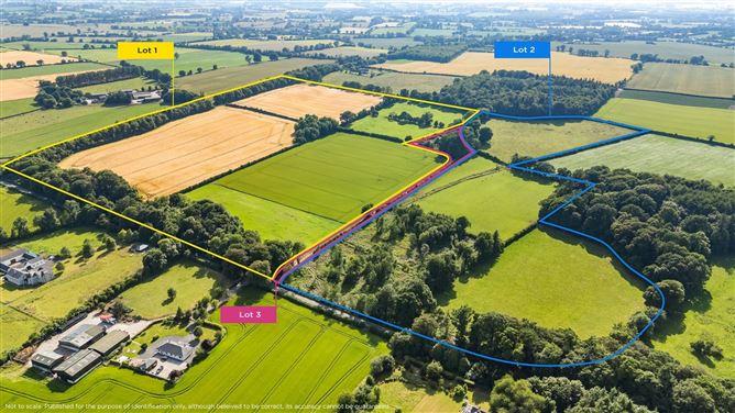 Lot 3 - Gatekeeper's Cottage, Lisnavagh, Rathvilly, Carlow, historical listing image 1