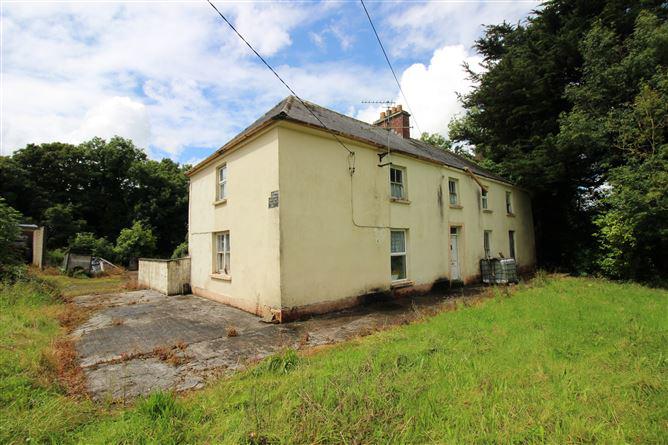 Dromina House, Dromina, Cork, historical listing image 4