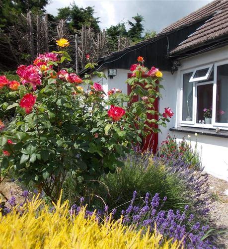 The Cottage, Raheenavine, Rathdrum, Co. Wicklow, historical listing image 2