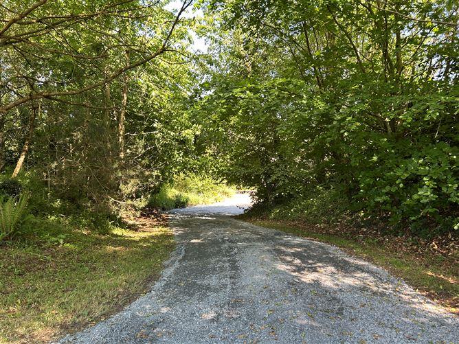 Ardnataggle, O Briensbridge, Clare, historical listing image 5
