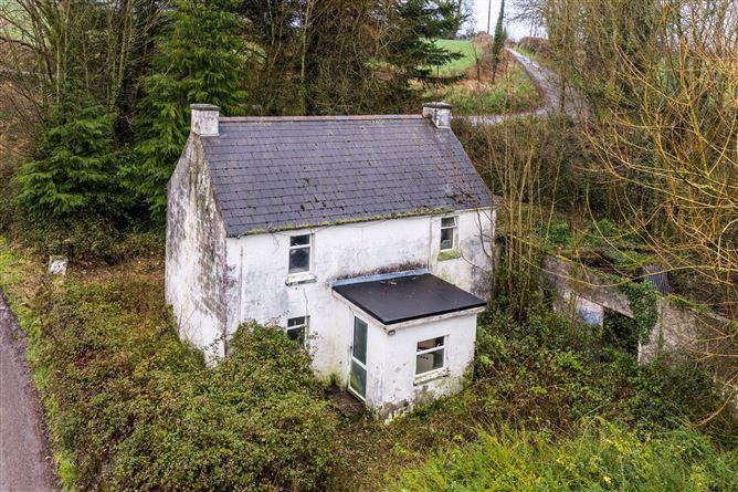 Ballyfoile, Tullogher, Co. Kilkenny, historical listing image 1