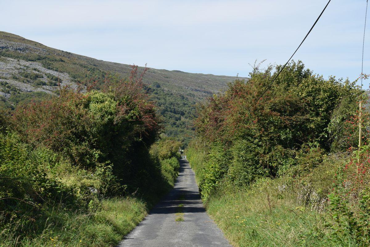 Newtown, Ballyvaughan, Co. Clare, historical listing image 4