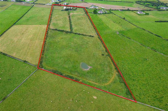 Carrownure, Kiltoom, Athlone, County Roscommon, historical listing image 5