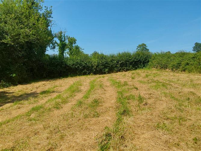 Clonagonnol, Cavan, Cavan, historical listing image 3