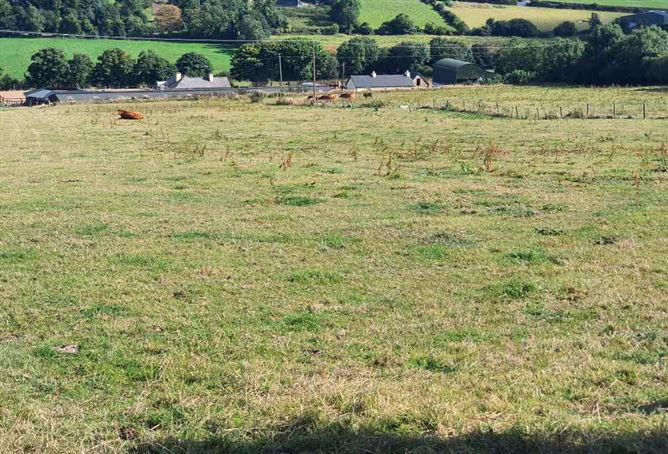 Raheendonore, Graiguenamanagh, Kilkenny, historical listing image 3