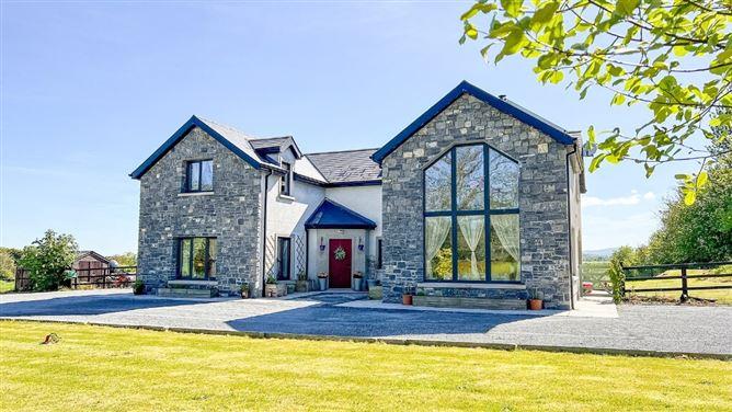 Willow Lodge, Annamult, Bennettsbridge, Co. Kilkenny, historical listing image 1