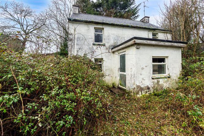 Ballyfoile, Tullogher, Co. Kilkenny, historical listing image 4