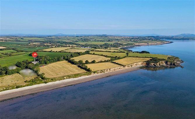 Dromina, Woodstown, Waterford, historical listing image 1