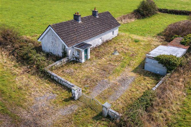 Lowertown, Kilbeggan, County Westmeath, historical listing image 4