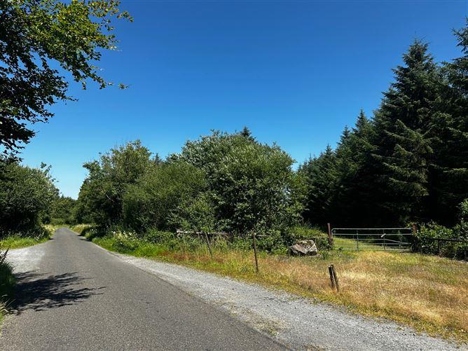 Forestry Land At Smithstown, Mullinavat, Co. Kilkenny, historical listing image 4