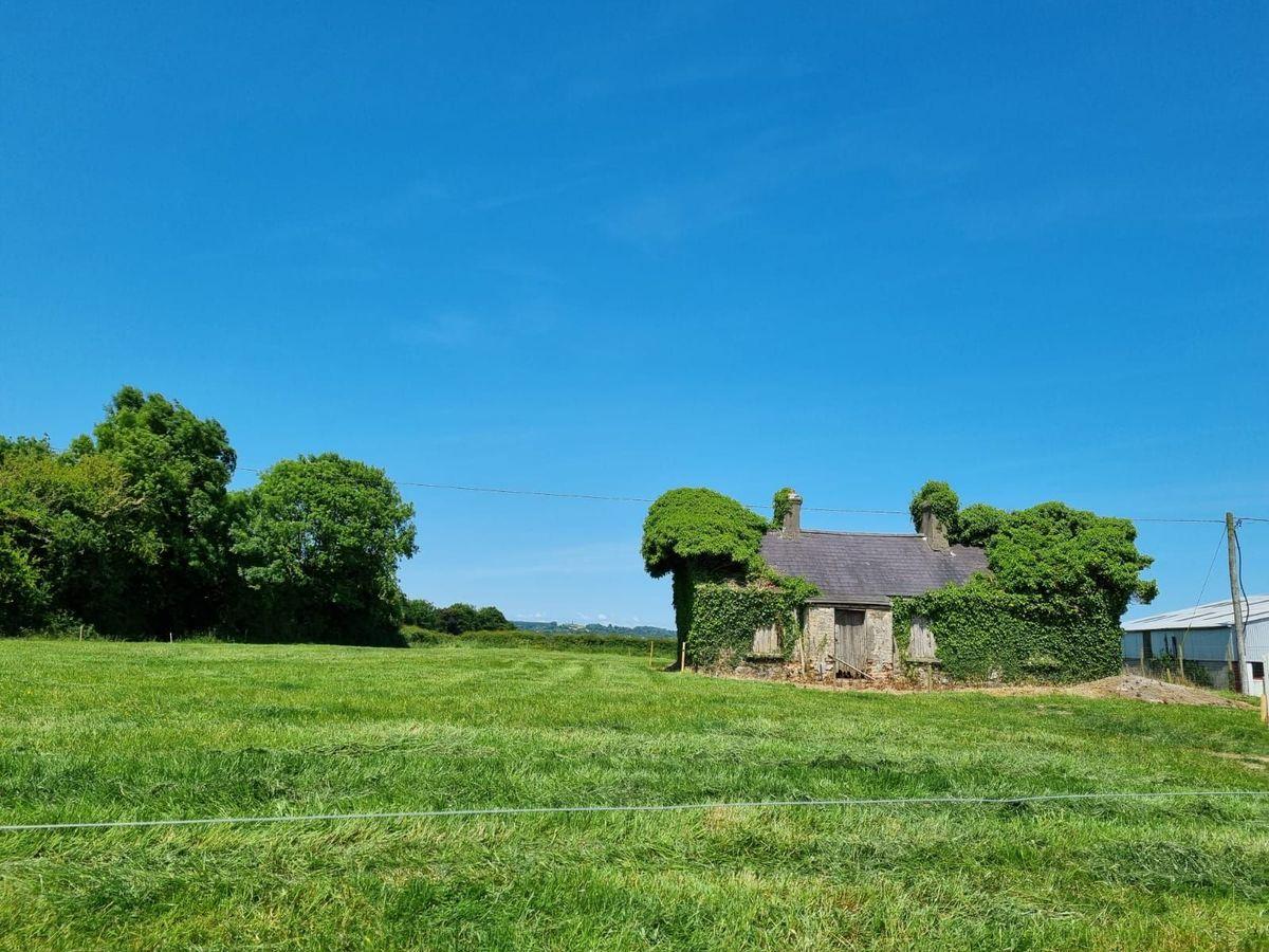 Redcastle, Mountrath, Co. Laois, historical listing image 3