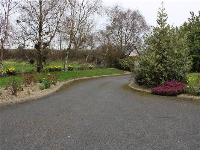 Bendinstown, Rathoe, Carlow, historical listing image 3