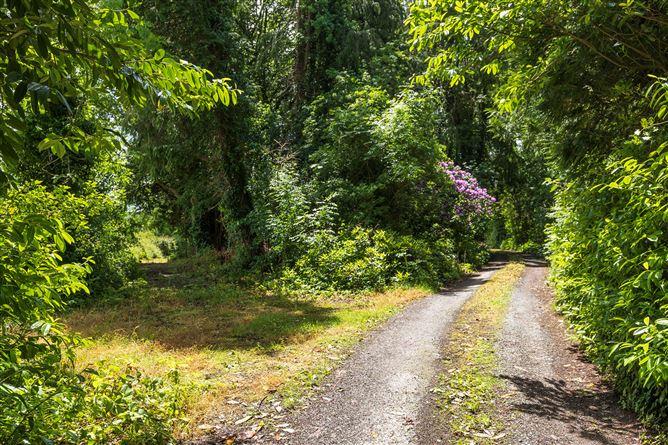Ballynona House, Ballynona South, Midleton, Co. Cork, P25CY53, historical listing image 3