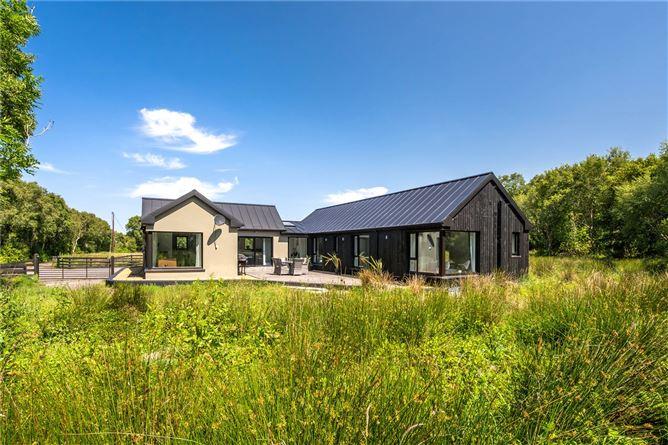 Black Antler, Mullanyduff, Castlegal, Co. Leitrim, historical listing image 3