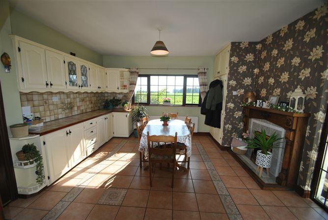 Mount Heaton, Roscrea, Co. Offaly, historical listing image 3