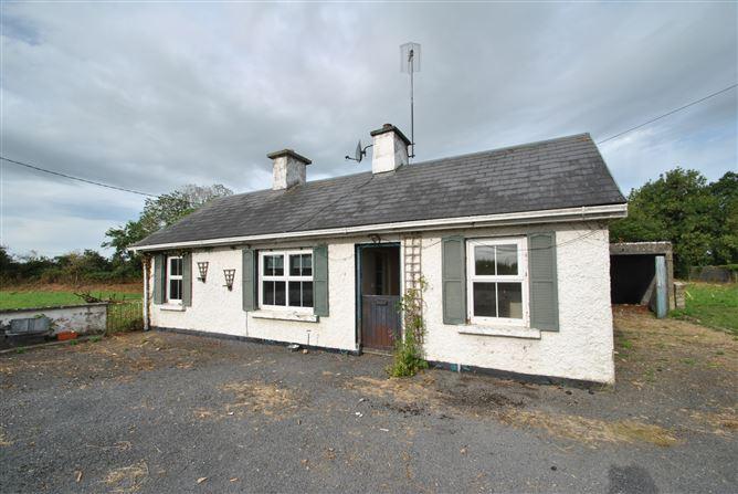 Mount Heaton, Roscrea, Co. Offaly, historical listing image 1
