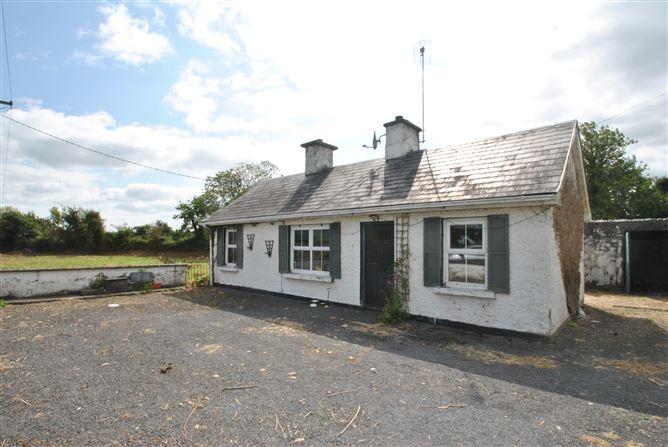 Mount Heaton, Roscrea, Co. Offaly, historical listing image 2