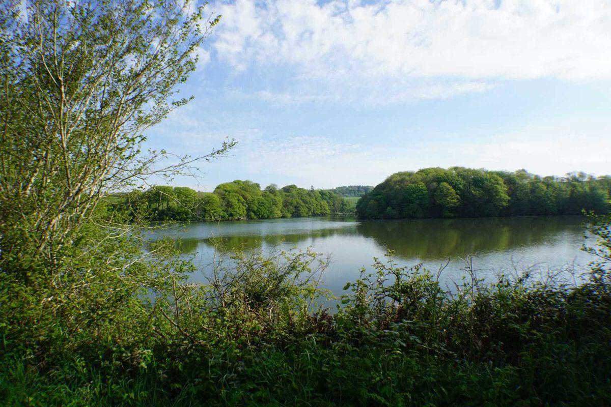 Ballinacurra Estate, Kinsale, Cork, historical listing image 6