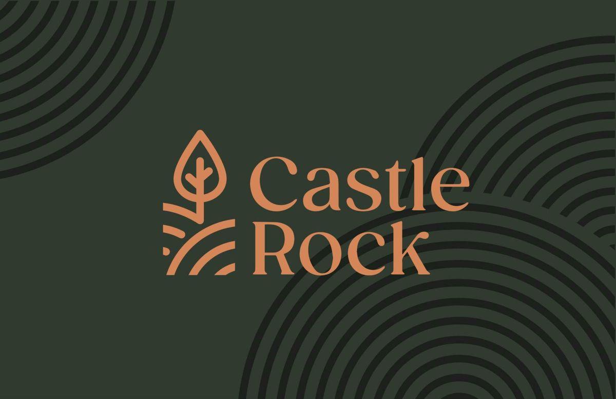 Castlerock Drive, Castlerock, Castleconnell, Co. Limerick, V94CXE7, historical listing image 5