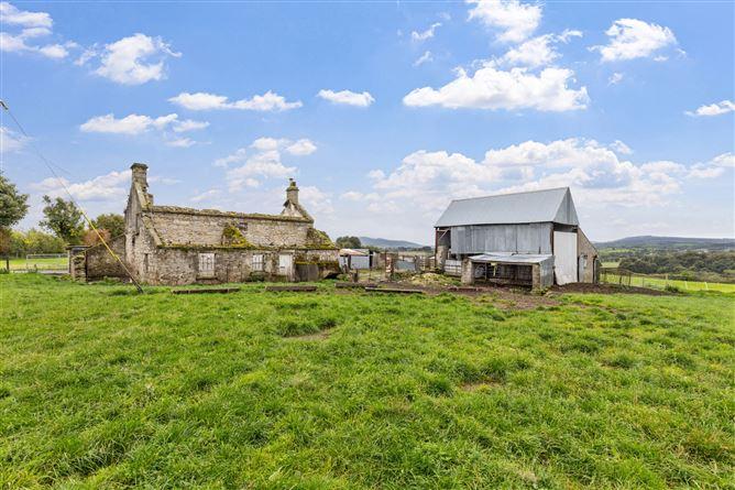 Ballynagrane, Borris, Co. Carlow, R95HD51, historical listing image 3