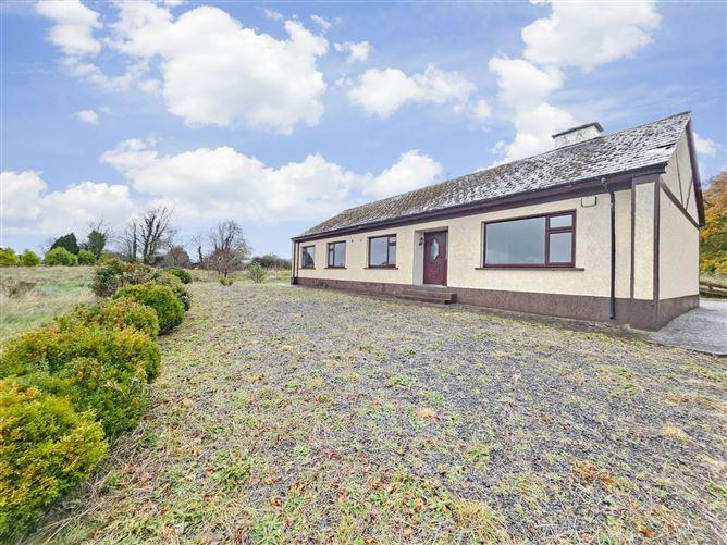 Thornvale, Toomevara, Co. Tipperary, historical listing image 2