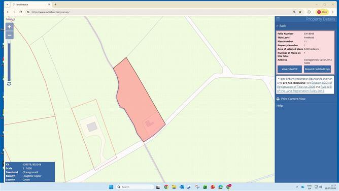 Clonagonnol, Cavan, Cavan, historical listing image 4