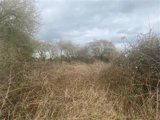 Stickin, Caragh, Naas, Kildare, historical listing image 6