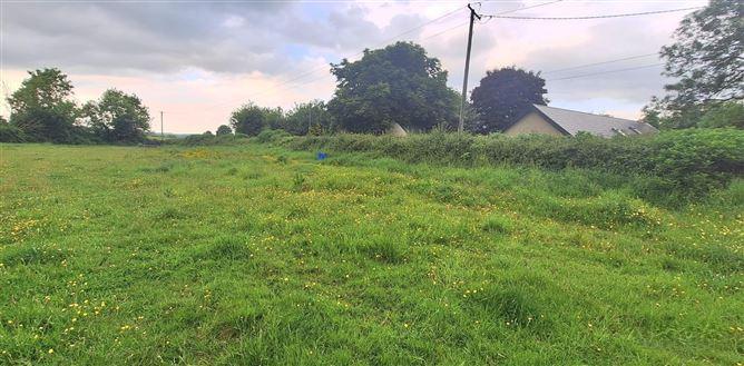 Ballyadams, Co. Laois, historical listing image 4