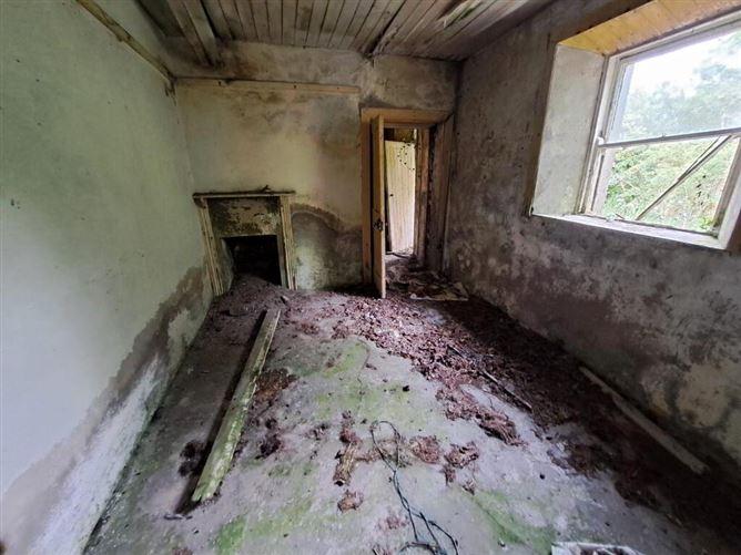 Tullynascreen, Dromahair, Leitrim, historical listing image 2