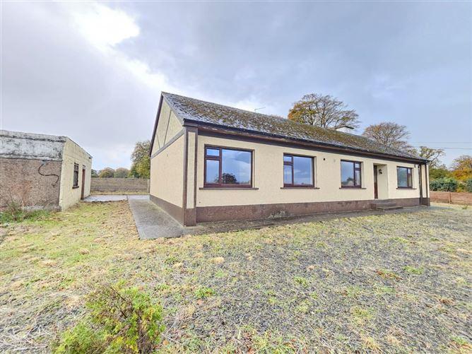Thornvale, Toomevara, Co. Tipperary, historical listing image 3