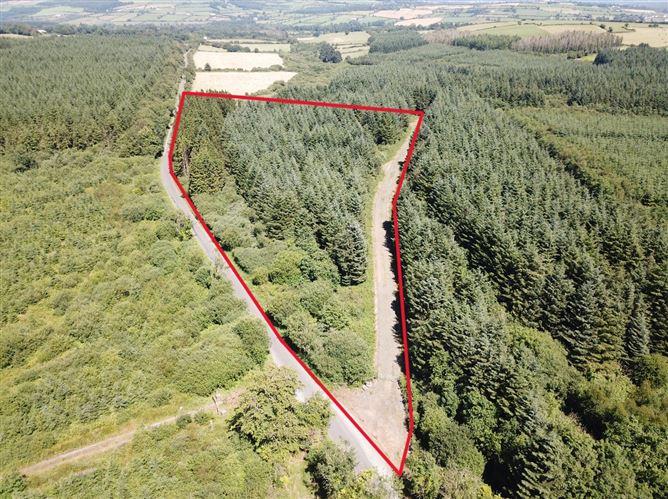 Forestry Land At Smithstown, Mullinavat, Co. Kilkenny, historical listing image 2